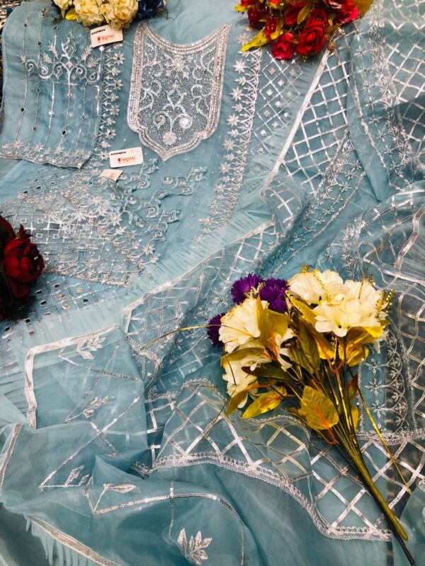 Fepic Rosemeen C 1172 Organza Heavy Embroidery Handwork Pakistani Salwar Kameez