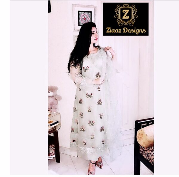 Ziaaz Designs White Doll Vol 2 Organza Embroidery Pakistani Salwar Kameez