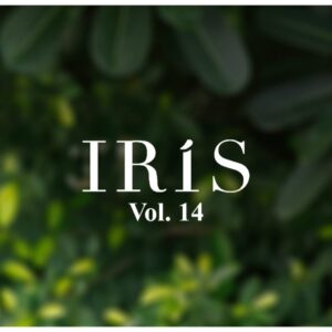 Iris Vol 14 Cotton Dress Material Catalog By Iris