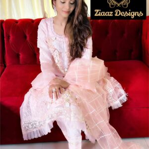 Ziaaz Designs Noor Pink Vol 2 Beautiful Organza Handwork Pakistani Salwar Kameez