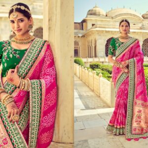 Mn Raj Gharana Vol 2 Patan Patola Pure Silk Saree Manufacturers Surat