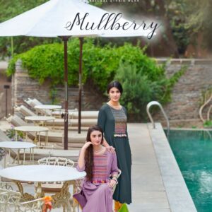 MITTOO MULLBERRY HEAVY RAYON KURTIS CATALOGUE AT WHOLESALE PRICE